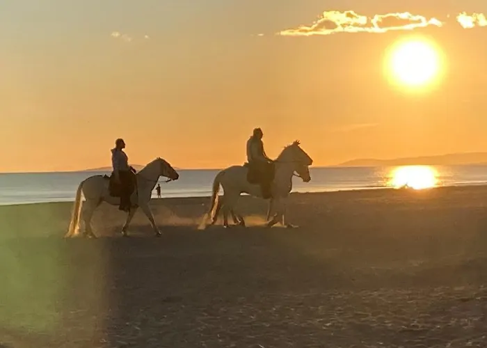 Etoile Doree, Vue Mer, Plage, Clim, Commerces, 3 Etoiles *